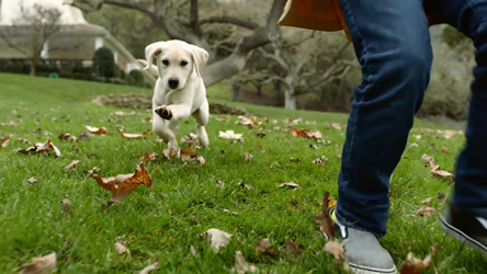 Honda - Best Friends film clip